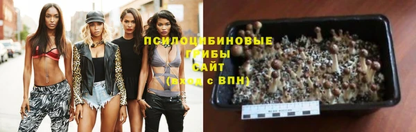 шишки Армянск