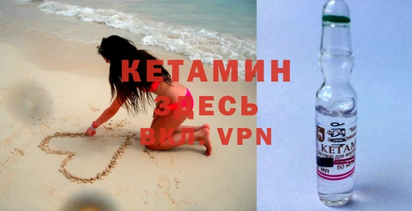 шишки Аркадак