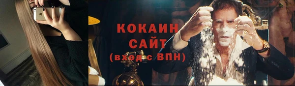 шишки Армянск