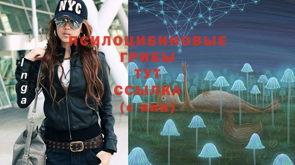 тгк Протвино