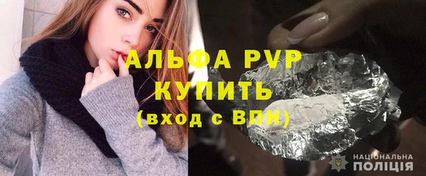 шишки Аркадак